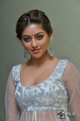 Anu Emmanuel at Kittu Unnaadu Jagratha Movie Gummadikaya Function